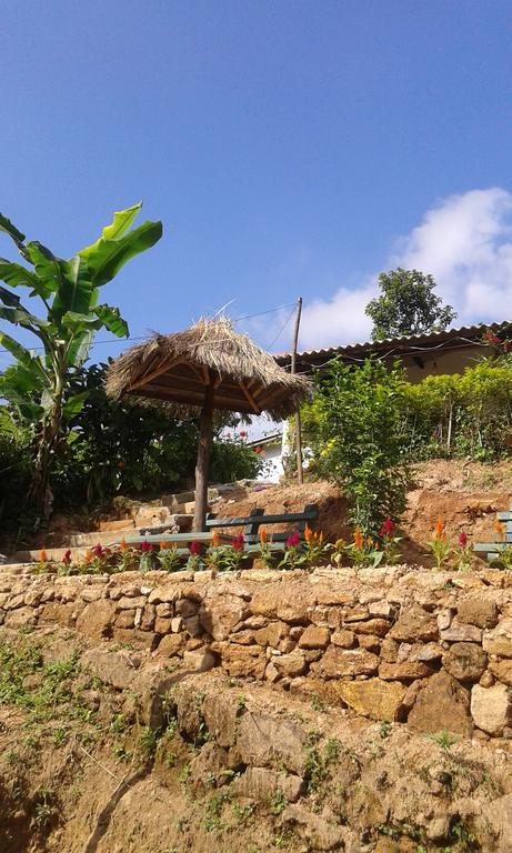 Tunnel Gap Homestay Элла Экстерьер фото